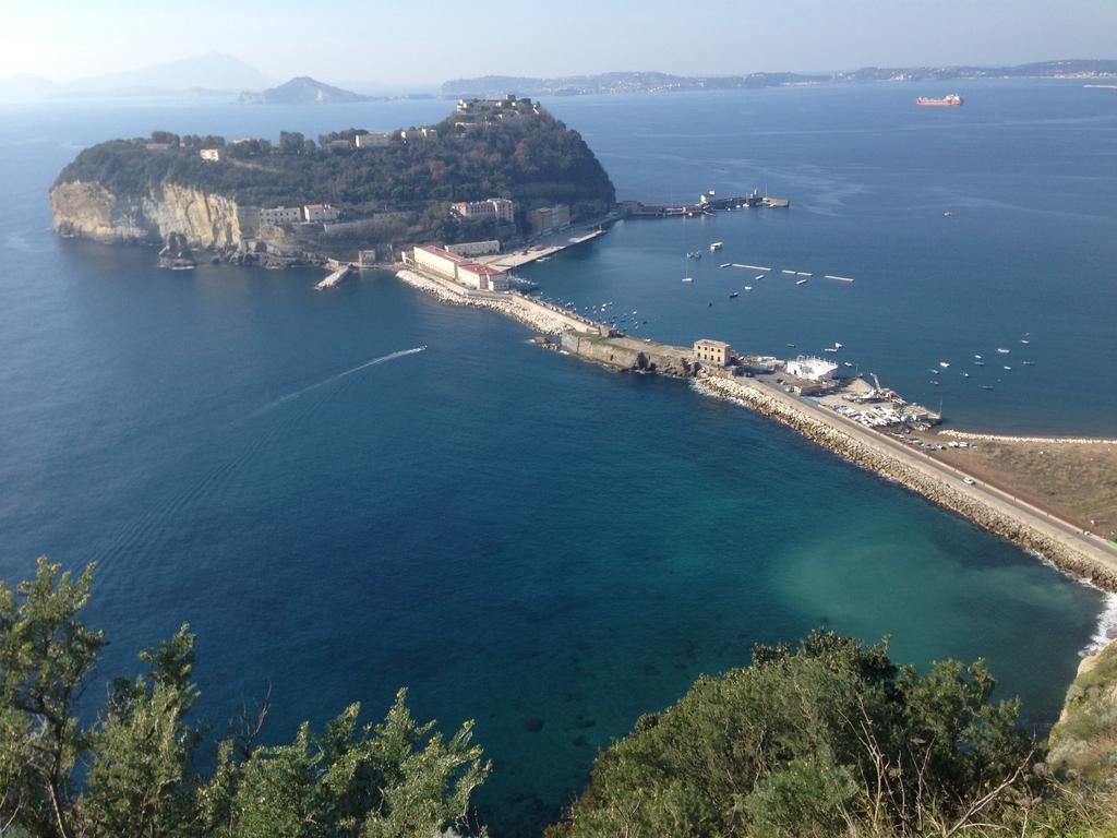Trimarchi House Daire Napoli Dış mekan fotoğraf